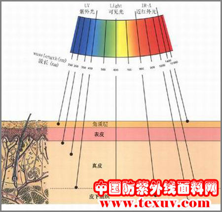  想知道什么顏色防紫外線好？